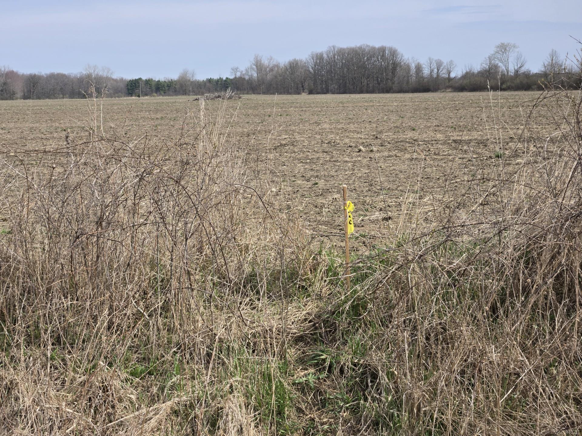 0 Weber (lot C) Road Columbus, MI 48063 - Photo 15 of 15