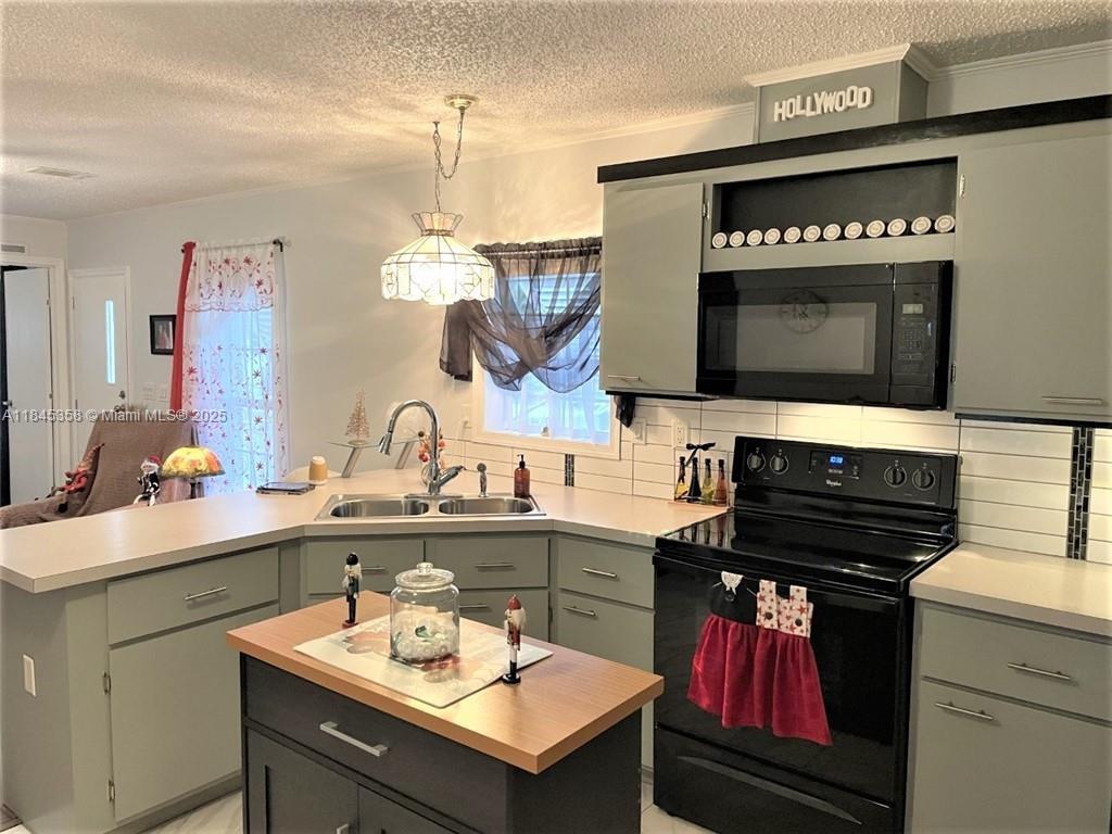 8671 Southwest 18th Place Davie, FL 33324 - Photo 2 of 22 a kitchen with a sink a stove and cabinets