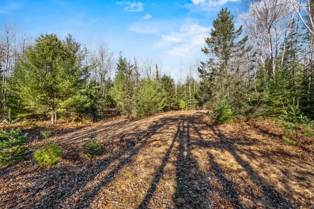 $334,900 | W4794 Birch Creek Rd No 6 Road, Unit 6, Menominee, MI 49858