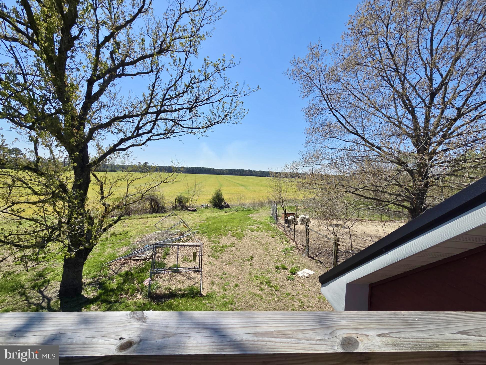 5125 Rhodesdale Road Rhodesdale, MD 21659 - Photo 25 of 43