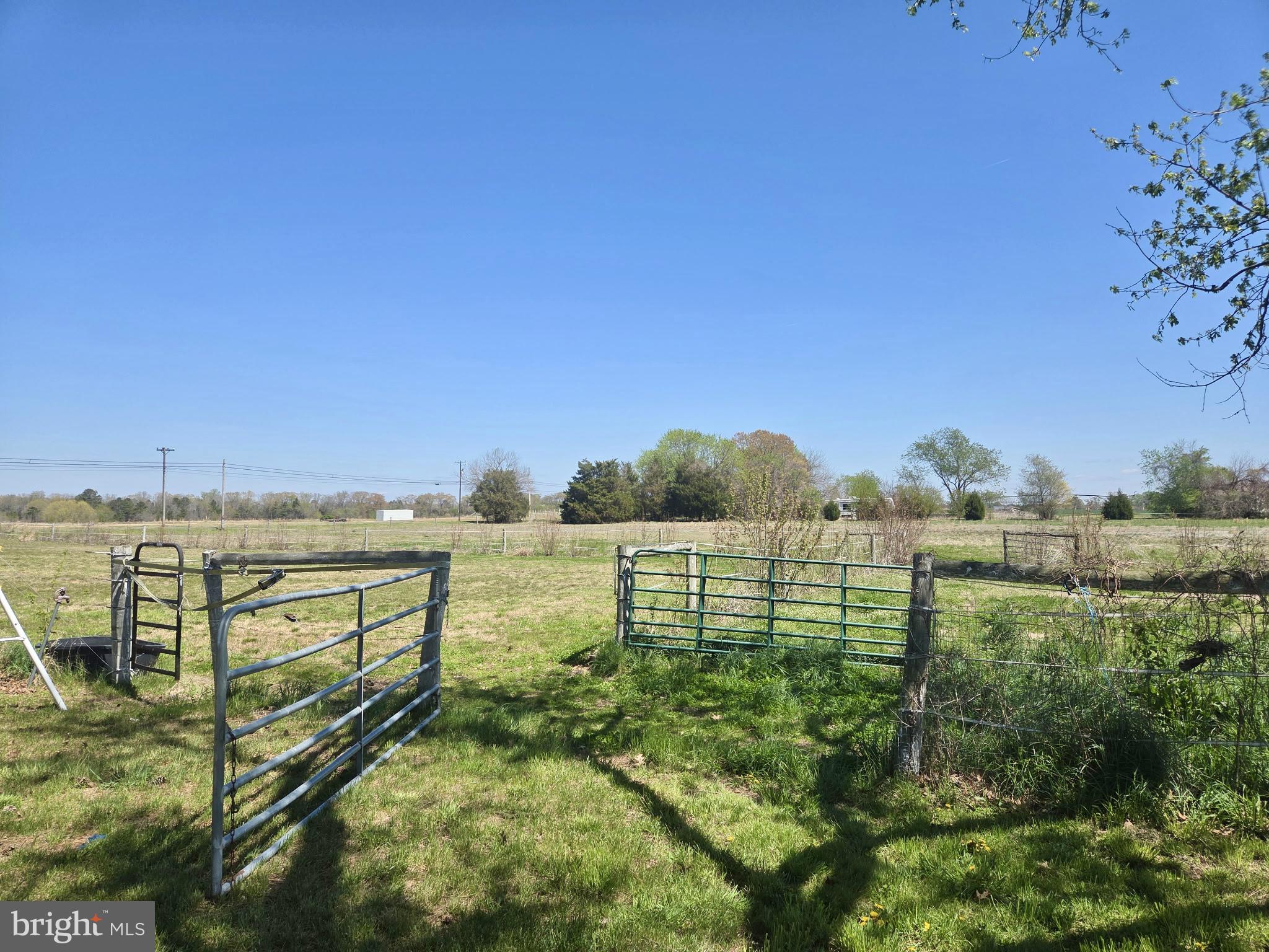 5125 Rhodesdale Road Rhodesdale, MD 21659 - Photo 41 of 43