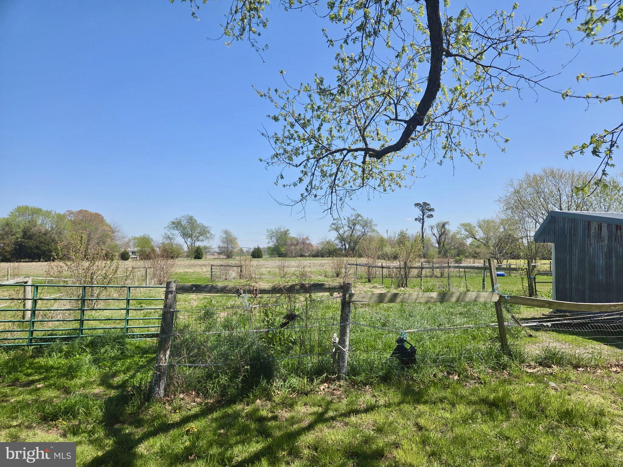 5125 Rhodesdale Road Rhodesdale, MD 21659 - Photo 42 of 43