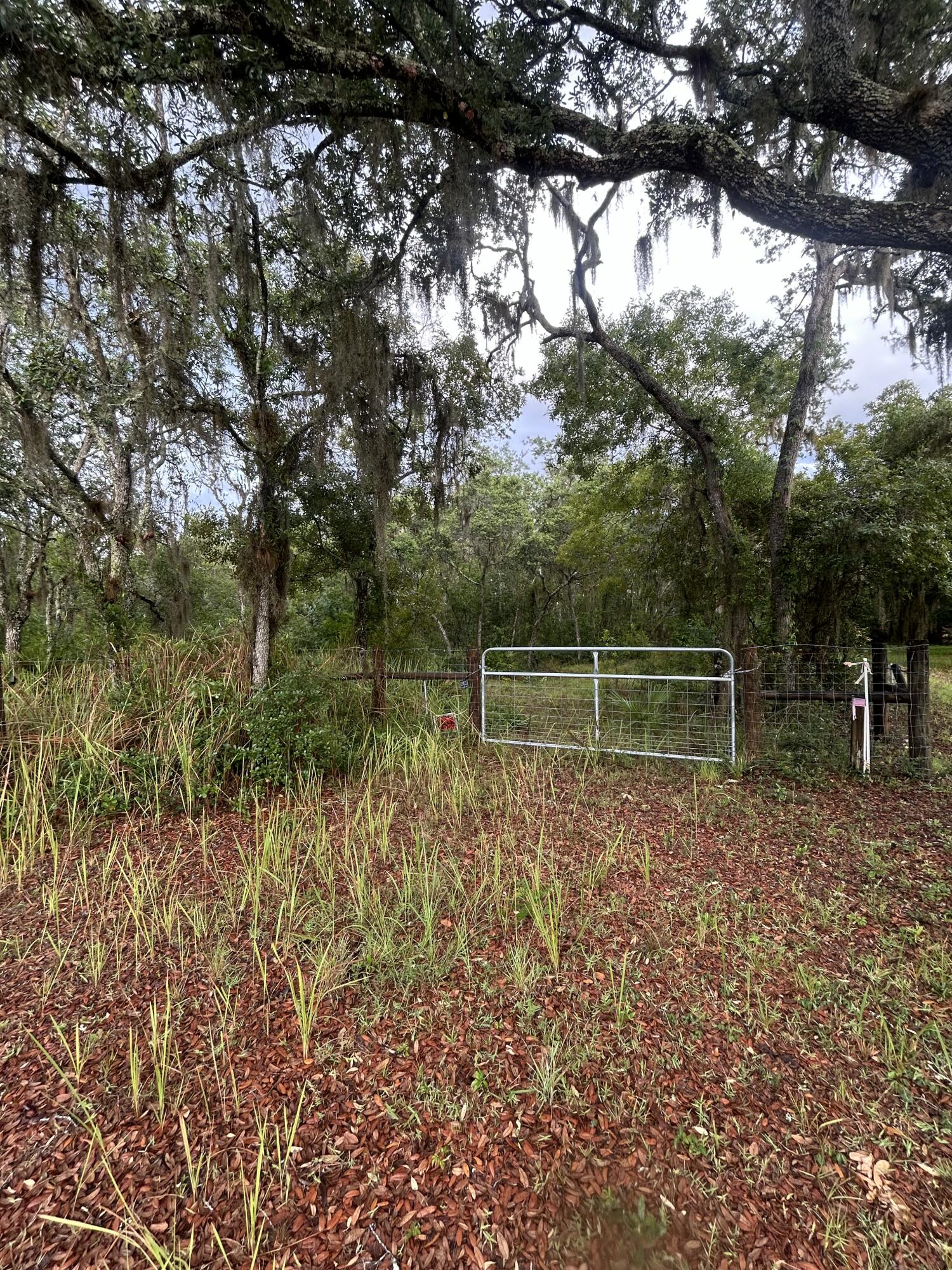 0 Scrub Jay Trail Frostproof, FL 33843 - Photo 1 of 1 IMG_9119-preview