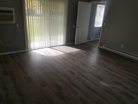 205 Sandra Avenue, Unit L2 Mendota, IL 61342 - Photo 3 of 6 an empty room with wooden floor and windows