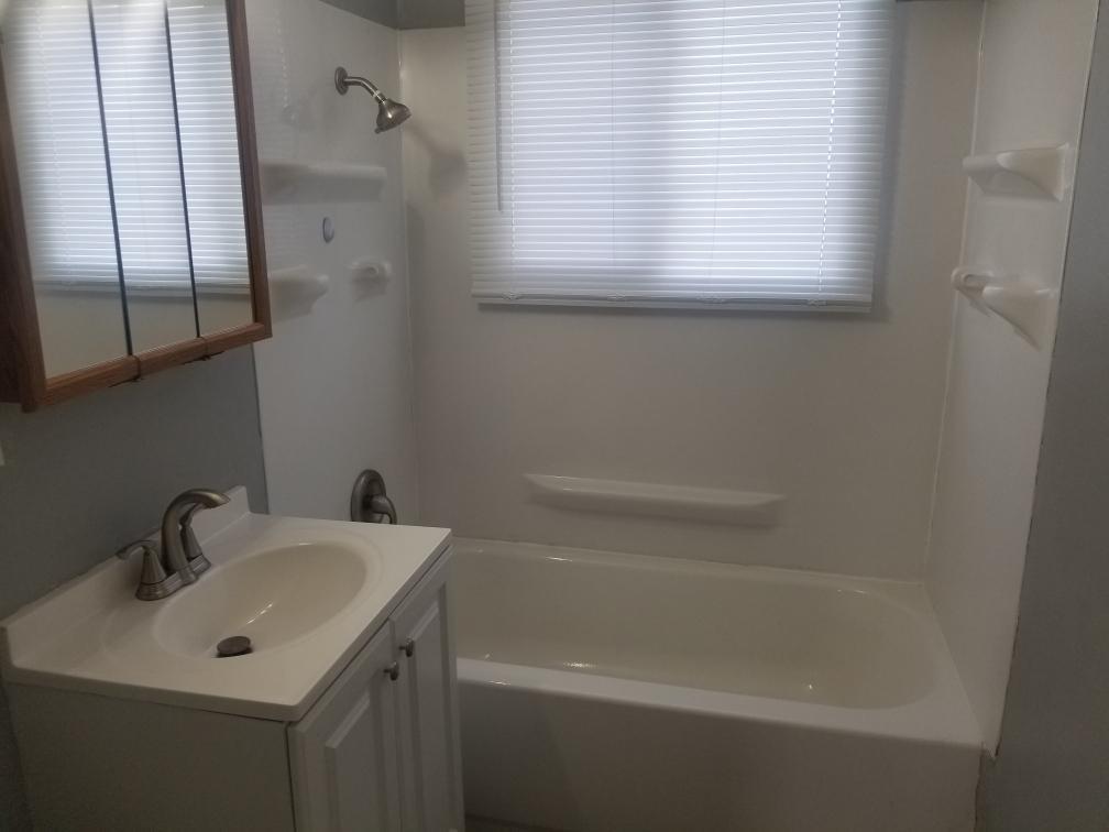 205 Sandra Avenue, Unit L2 Mendota, IL 61342 - Photo 6 of 6 a bathroom with a sink a mirror and a bathtub