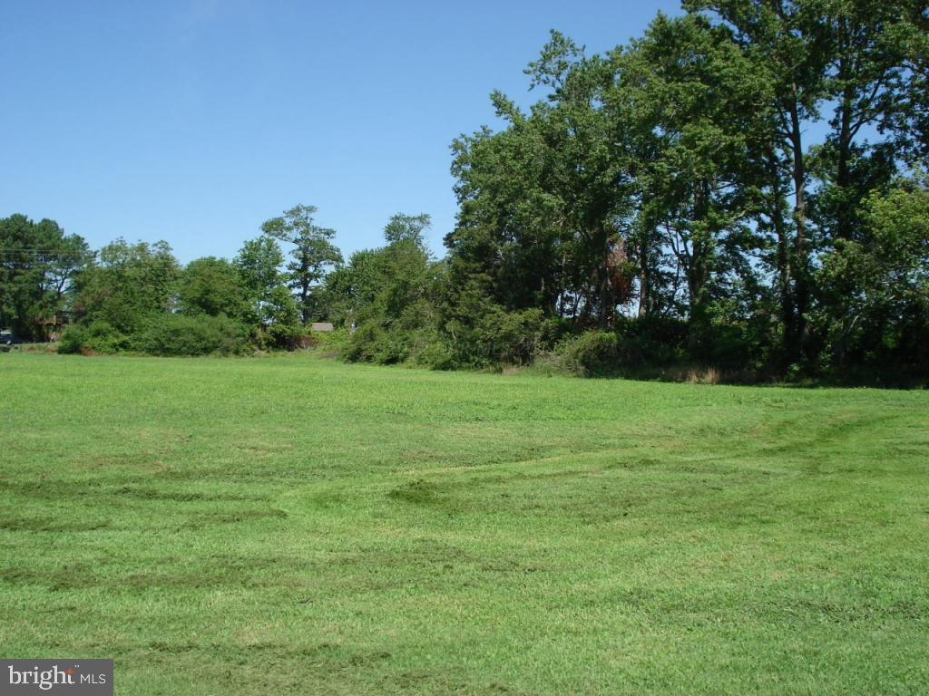 7801 Cedartown Road Snow Hill, MD 21863 - Photo 2 of 18 Gallery Image 2