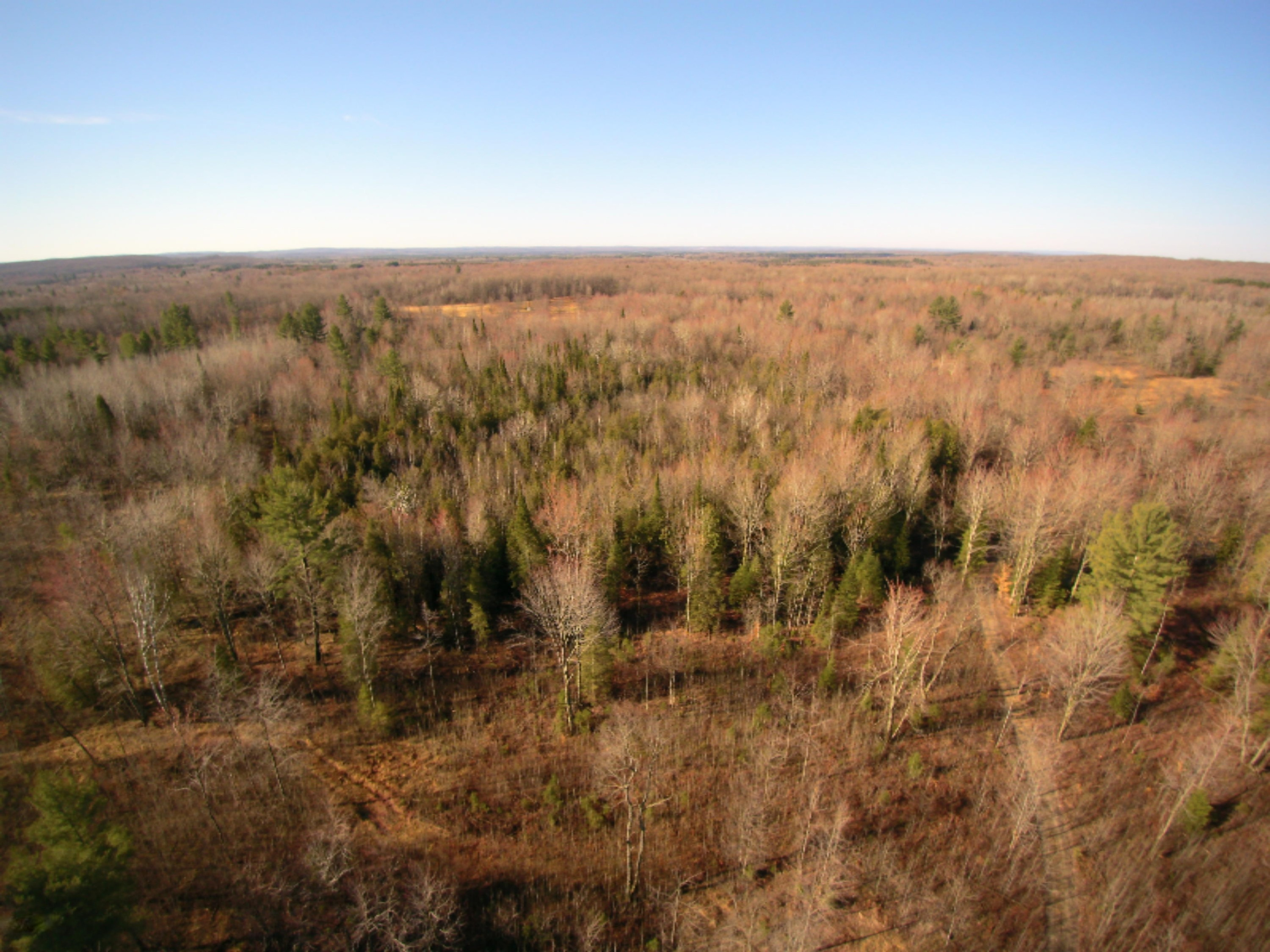 4411 Ingersoll Road Southwest Fife Lake, MI 49633 - Photo 15 of 51 YUNC0019
