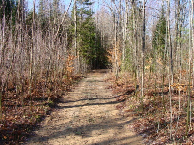 4411 Ingersoll Road Southwest Fife Lake, MI 49633 - Photo 26 of 51 DSC04120