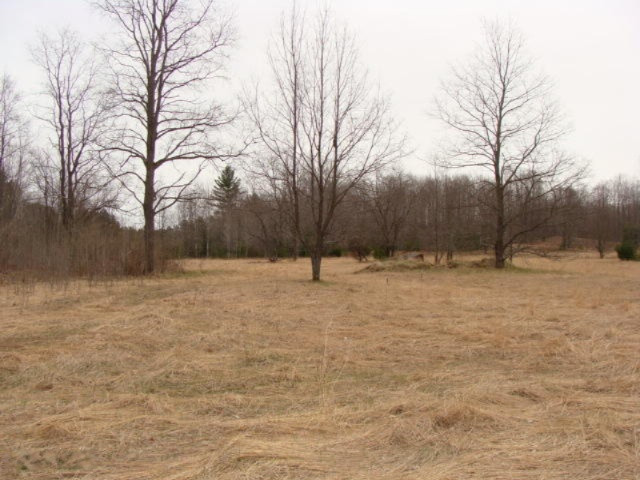 4411 Ingersoll Road Southwest Fife Lake, MI 49633 - Photo 43 of 51 DSC04100