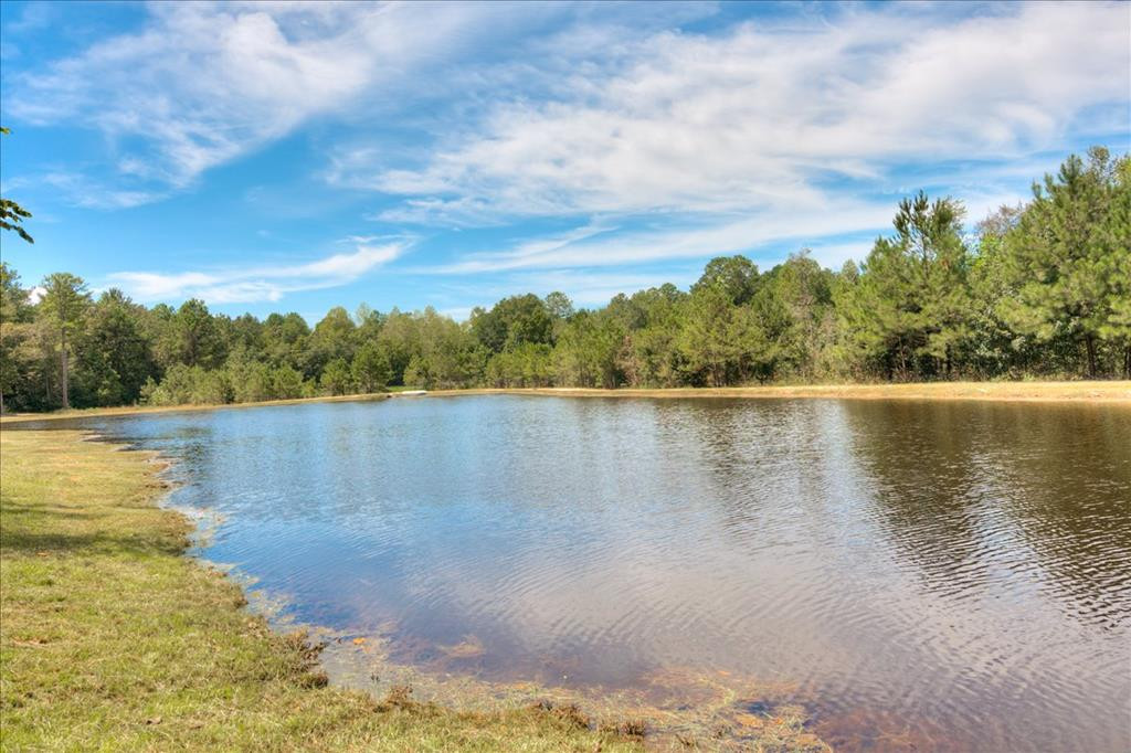 212 Kedron Church Road Aiken, SC 29805 - Photo 41 of 63