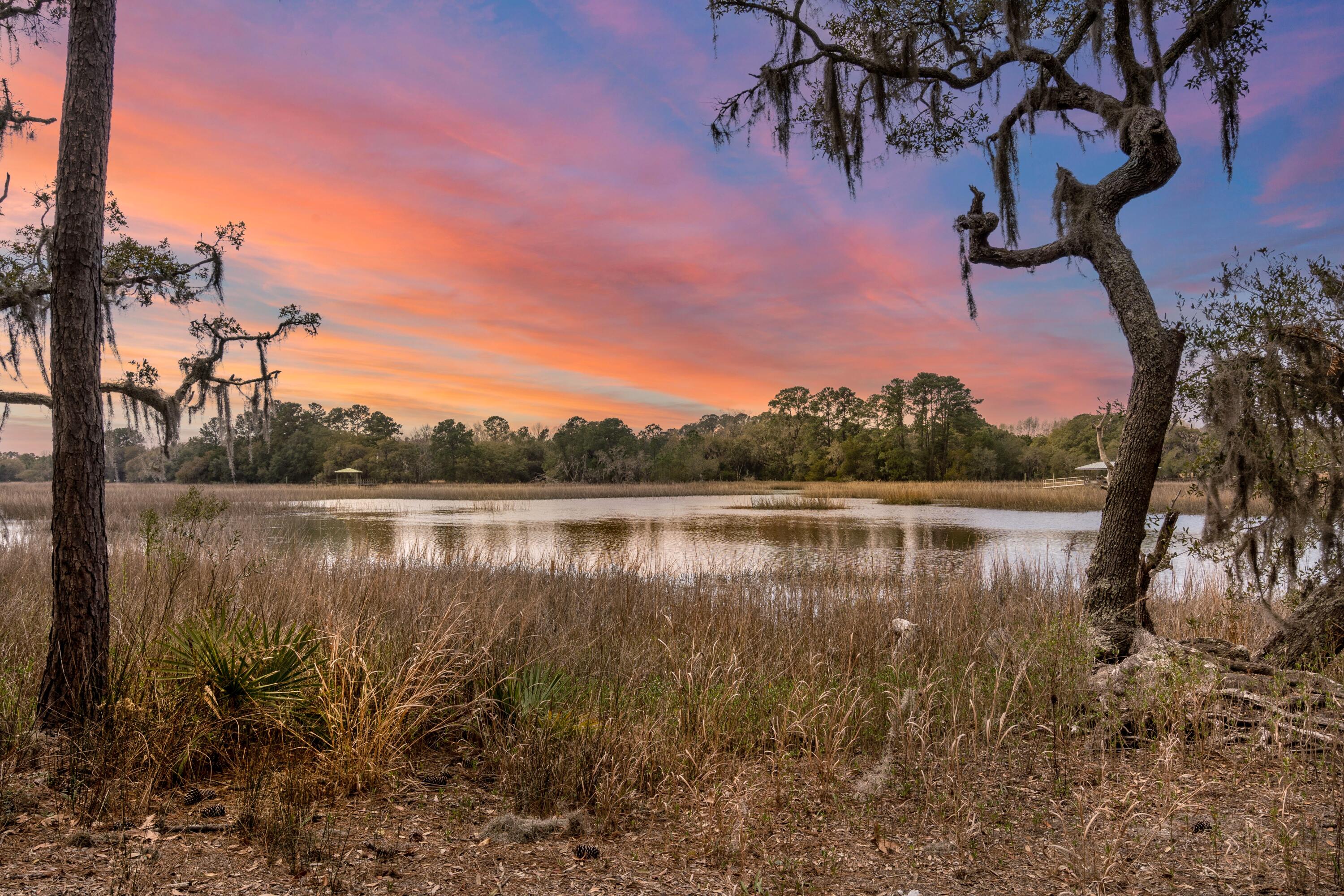 4635 Summit Plantation Road Hollywood, SC 29449 - Photo 50 of 50 Marsh