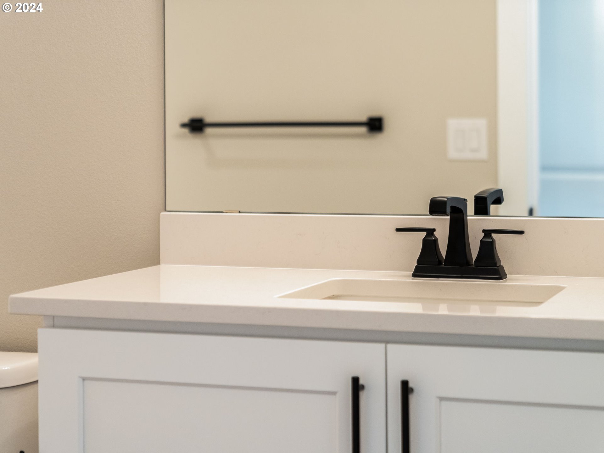850 Northwest 178th Street Ridgefield, WA 98642 - Photo 39 of 48 a close view of sink