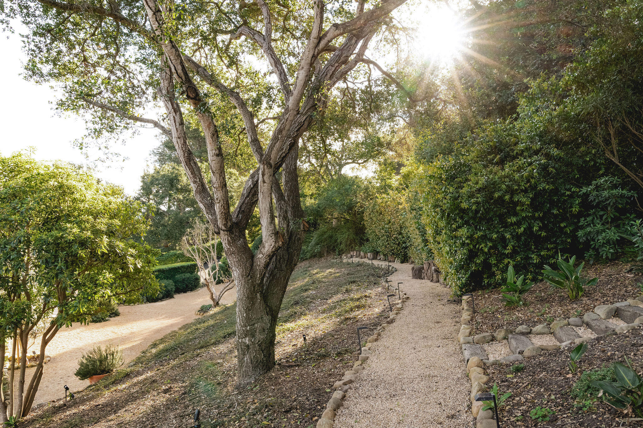 395 Woodley Road Montecito, CA 93108 - Photo 21 of 30 a view of a forest with trees on sides