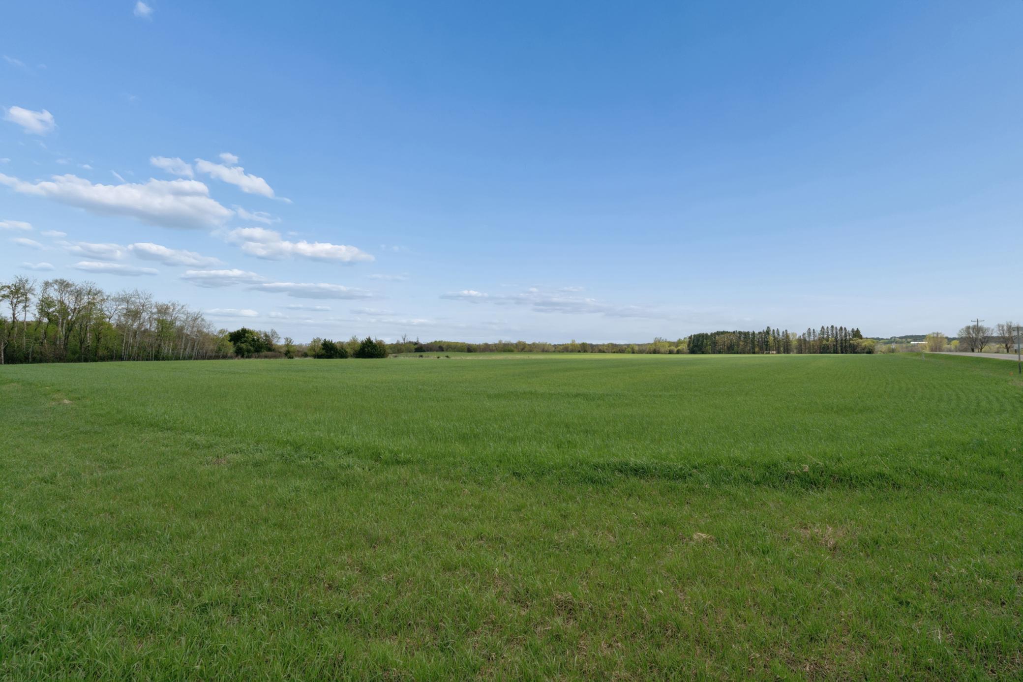 4 Of Sw1/4 Acres Located In Section 23 Jordan, MN 55352 - Photo 11 of 20