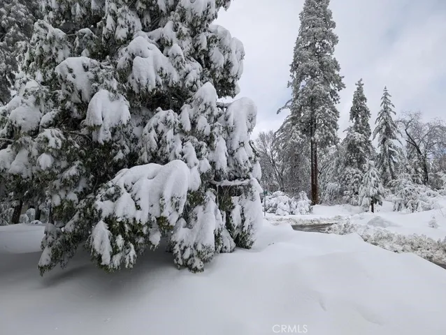 a view of a yard with snow on the road