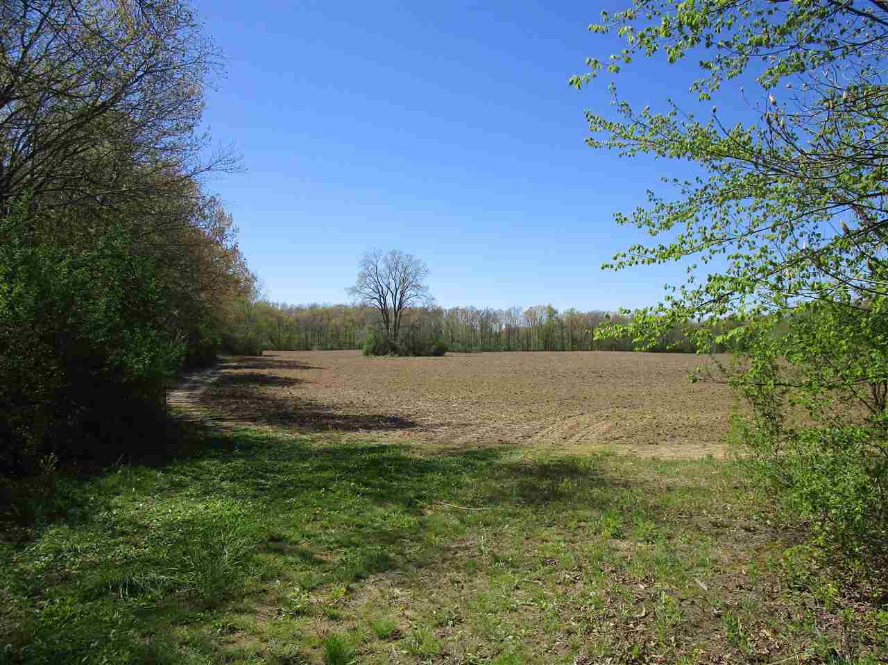 0 North Holly Road Holly, MI 48442 - Photo 10 of 25