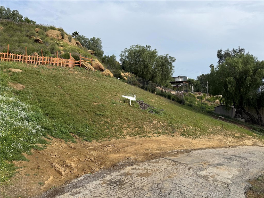 7365 Webb Road Chatsworth, CA 91311 - Photo 5 of 12 a view of a yard with an trees