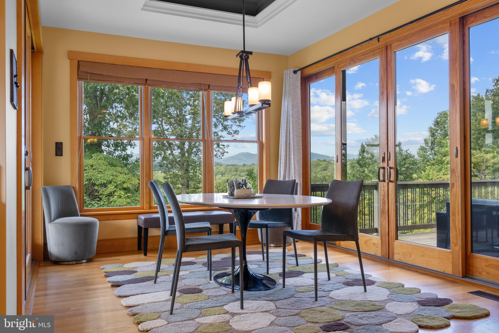 210 Grandview Road Washington, VA 22747 - Photo 15 of 62 a dining room with furniture wooden floor and a potted plant