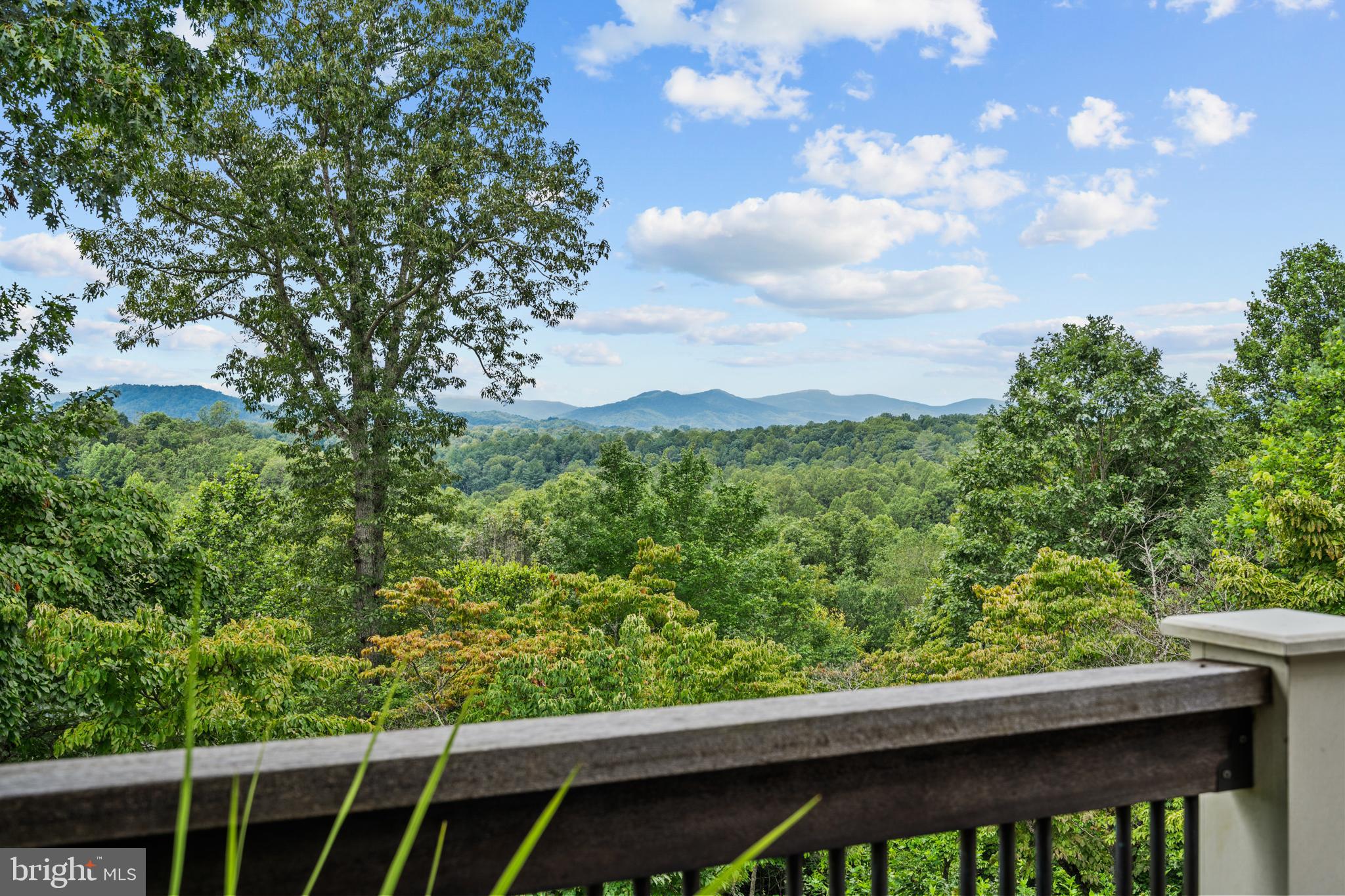 210 Grandview Road Washington, VA 22747 - Photo 19 of 62 View from Deck