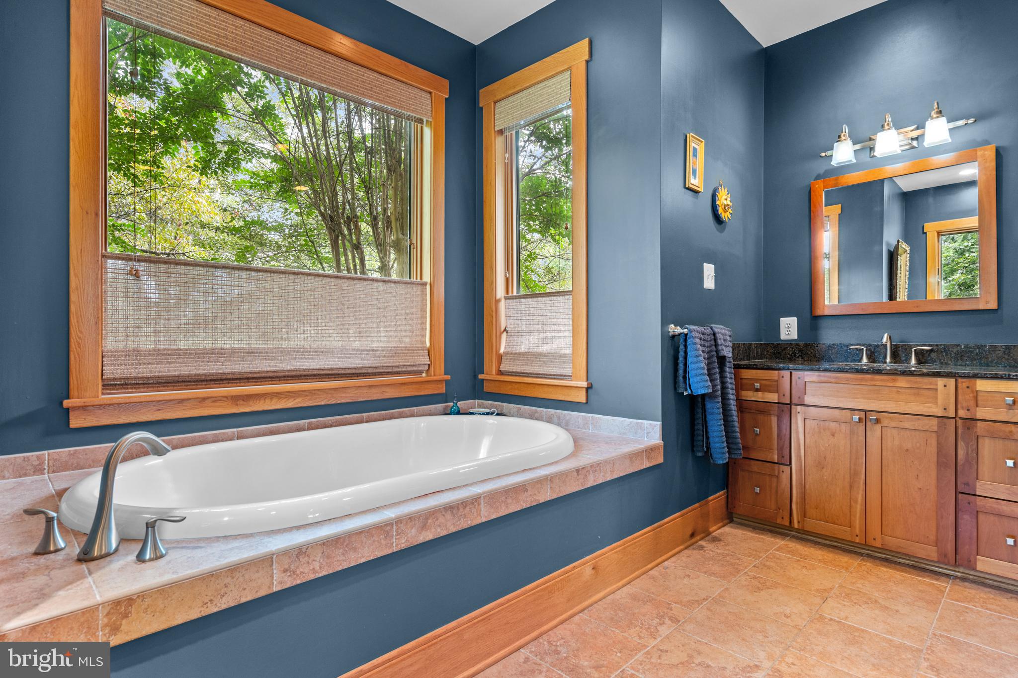 210 Grandview Road Washington, VA 22747 - Photo 22 of 62 a spacious bathroom with sink and bathtub