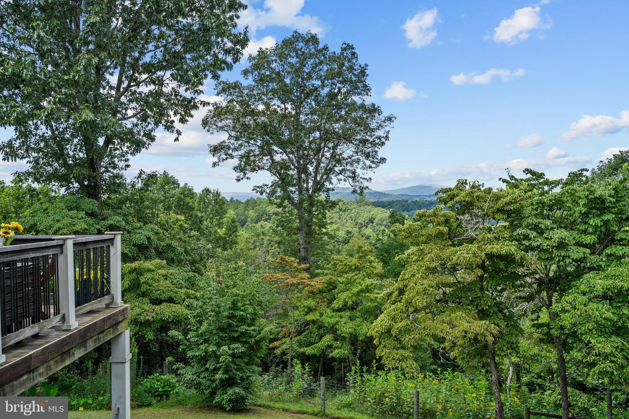 210 Grandview Road Washington, VA 22747 - Photo 24 of 62 a backyard of a house with lots of green space and garden