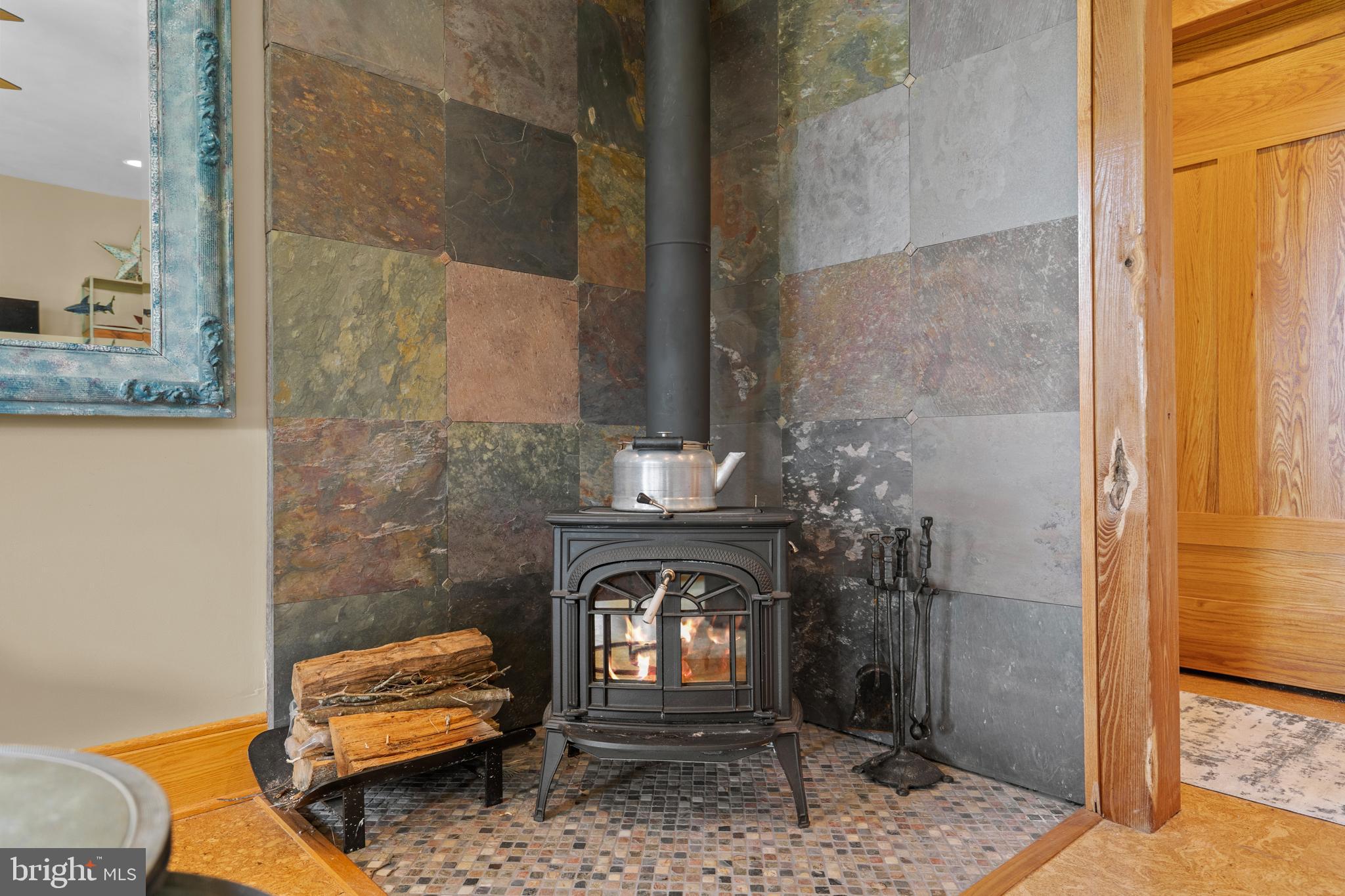 210 Grandview Road Washington, VA 22747 - Photo 30 of 62 Cozy Wood Stove