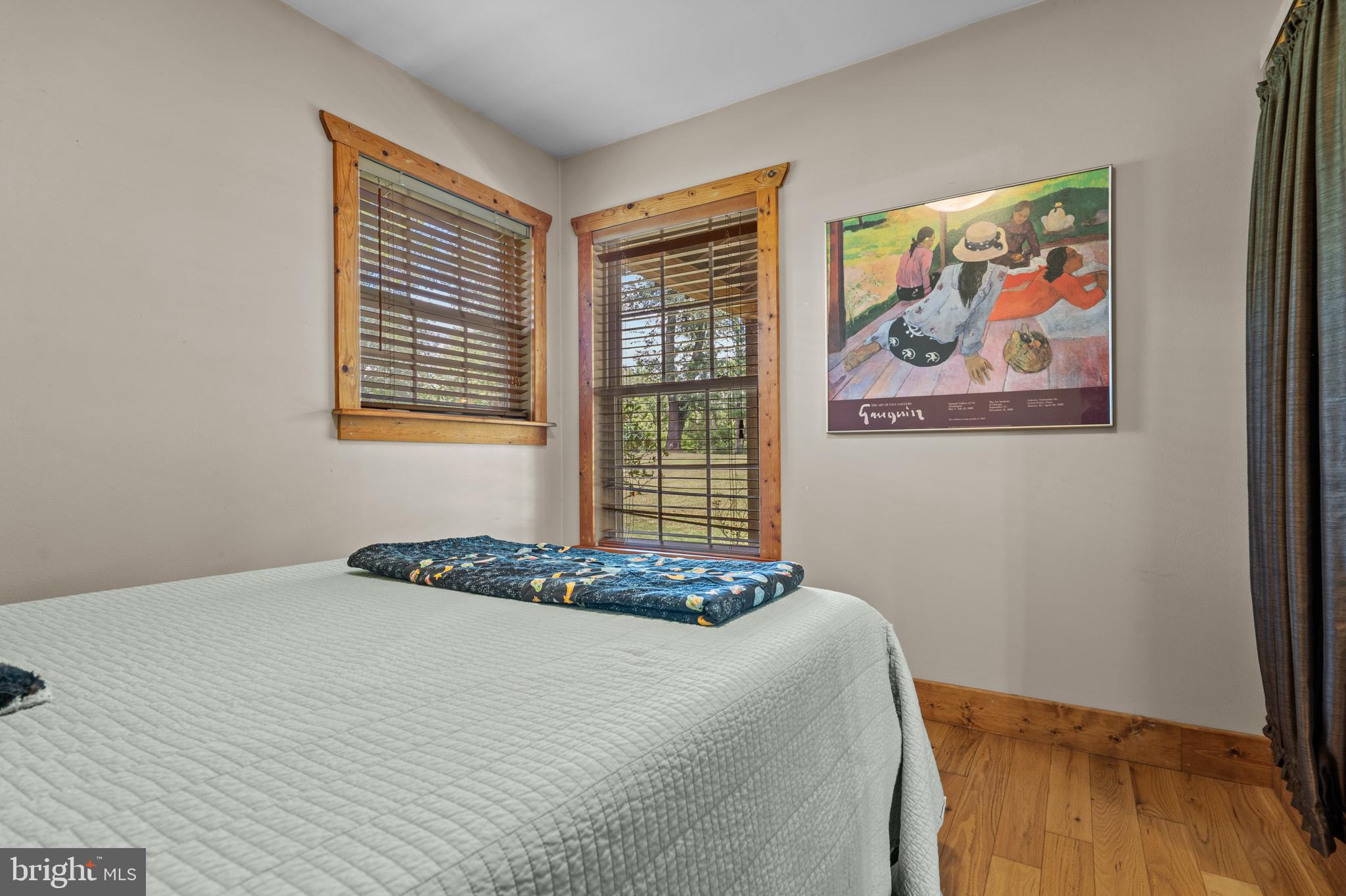 210 Grandview Road Washington, VA 22747 - Photo 40 of 62 a bedroom with a bed and a painting on the wall