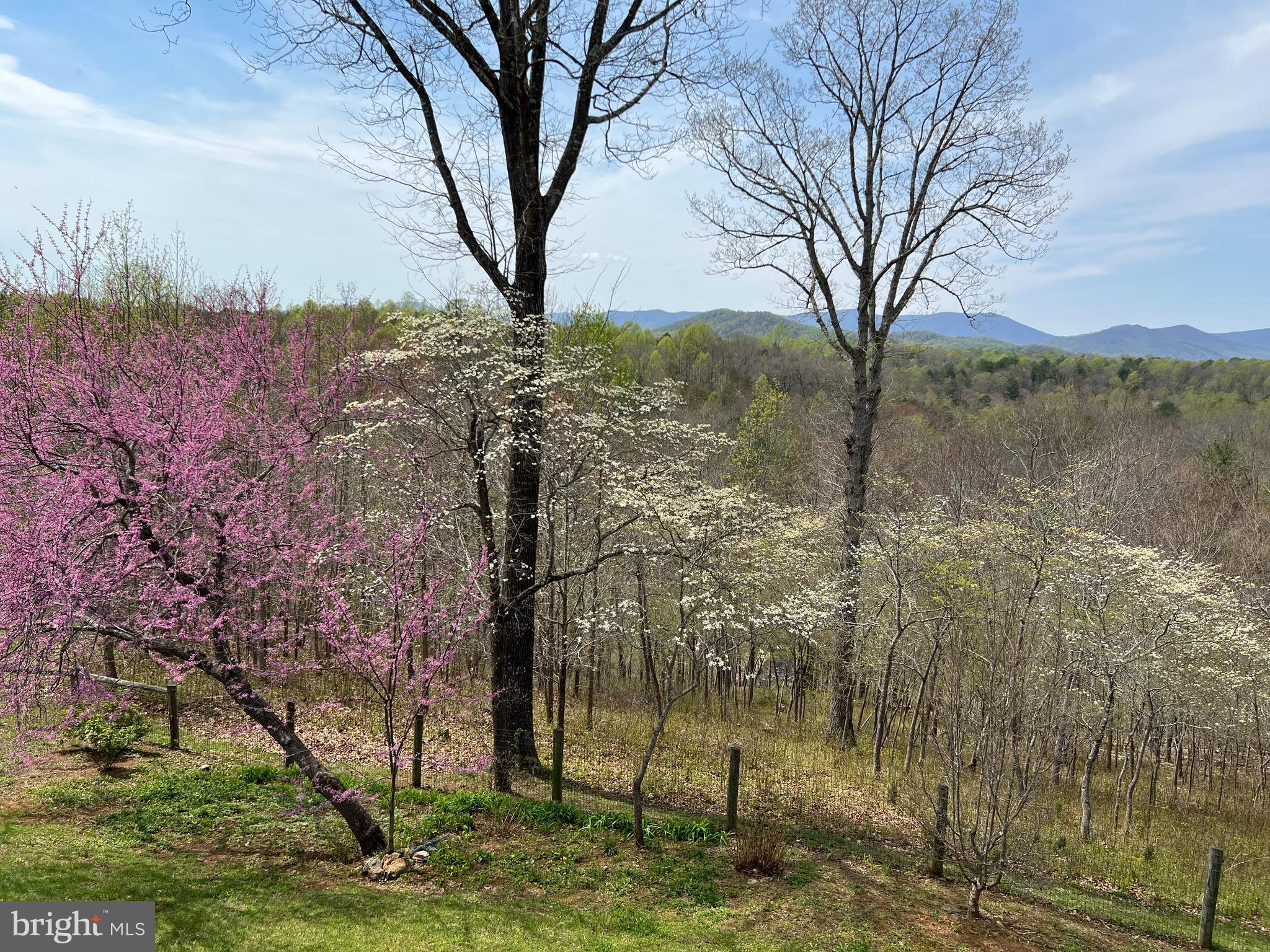 210 Grandview Road Washington, VA 22747 - Photo 55 of 62