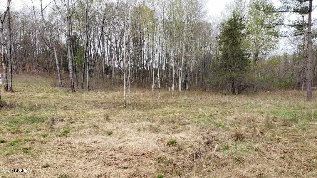 3 1/2 East 3 1/2 Mile Road Baldwin, MI 49304 - Photo 11 of 13