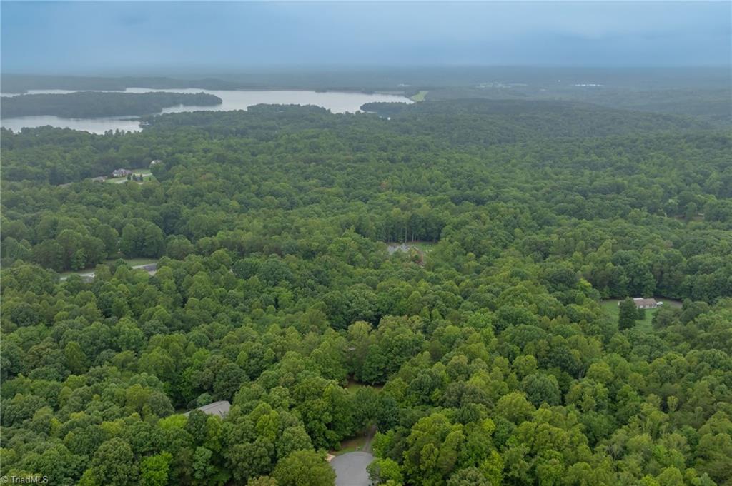194 Lakefield Road Stokesdale, NC 27357 - Photo 36 of 38
