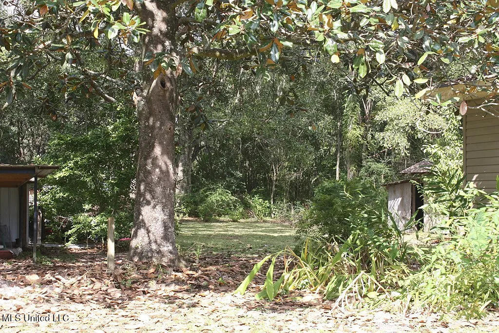 806 Neal Road Picayune, MS 39466 - Photo 5 of 5 0c16d63f7062d0168004fbe05c12b9ca-uncropp