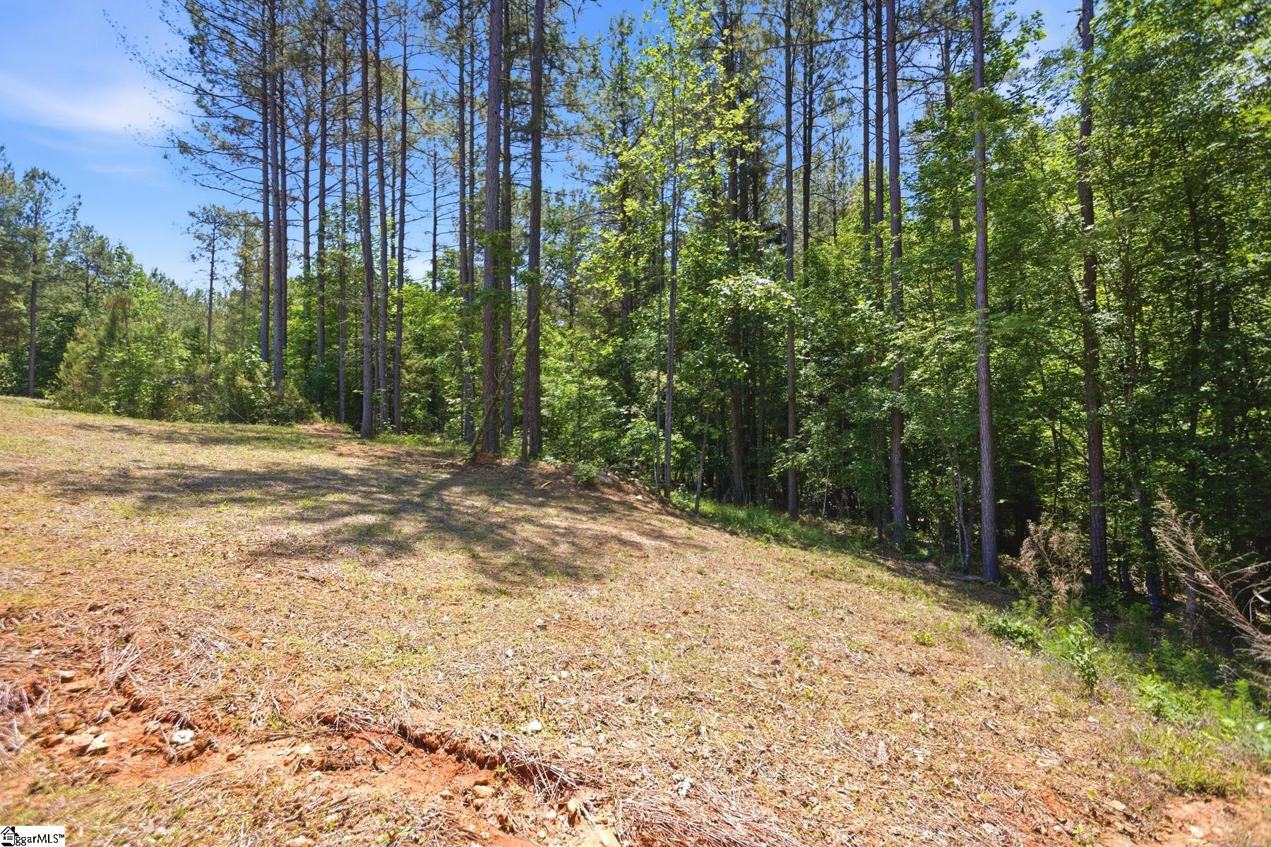 912 Watercrest Road West Union, SC 29696 - Photo 39 of 50