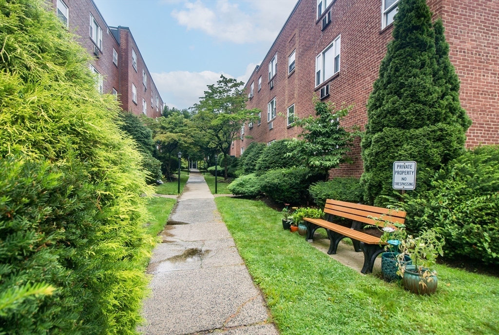 57 Colborne Road, Unit B2 Boston, MA 02135 - Photo 7 of 8
