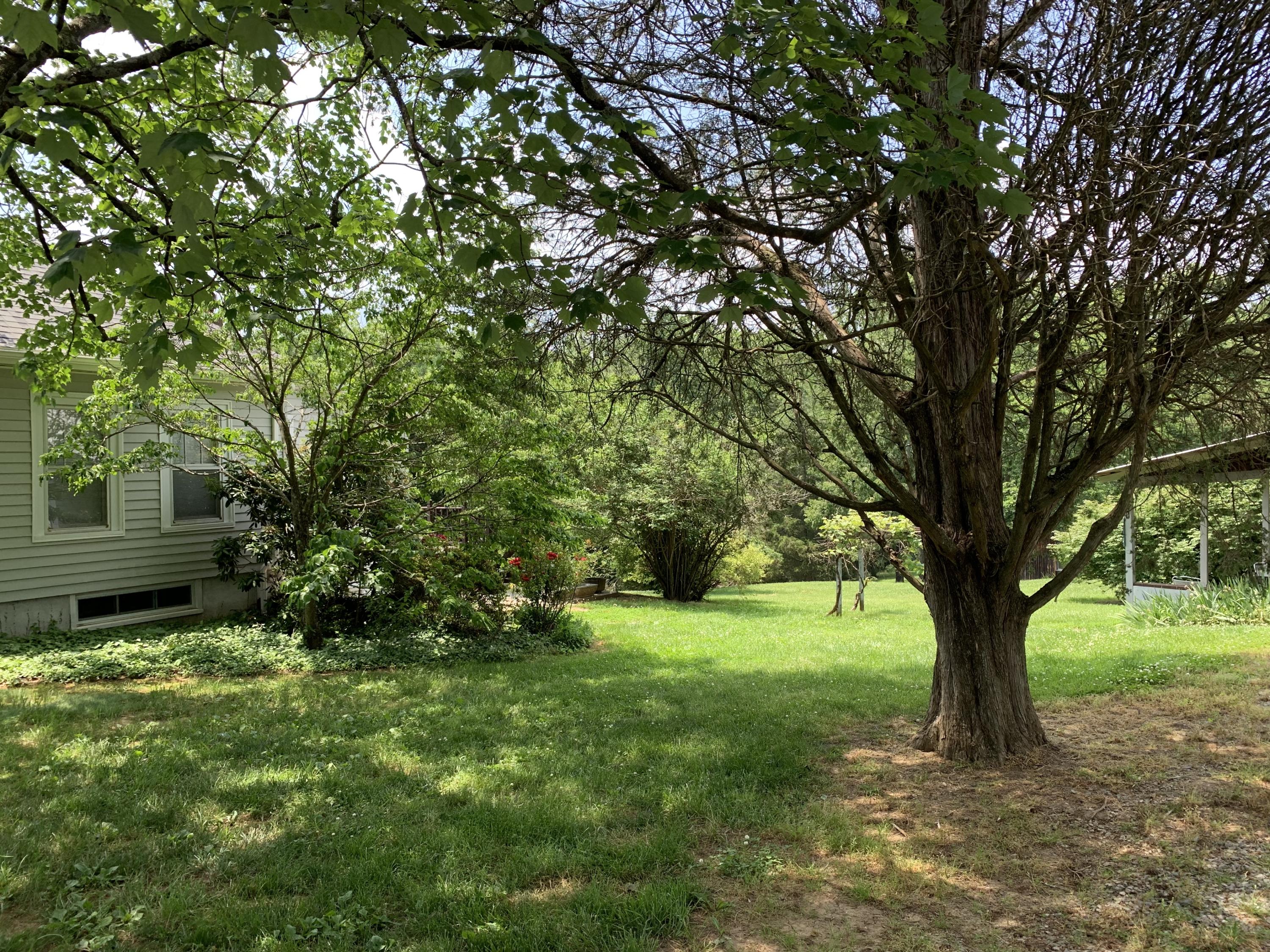 1763 Morgans Mill Road Goodview, VA 24095 - Photo 20 of 46 a view of a garden with a tree