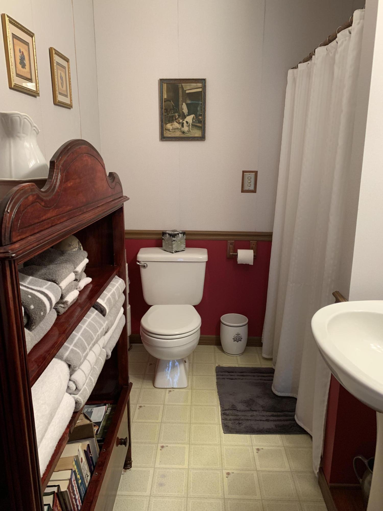 1763 Morgans Mill Road Goodview, VA 24095 - Photo 29 of 46 a bathroom with a toilet a sink and a mirror