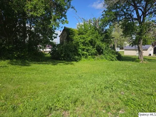 $8,500 | Corner Of 4-th Corner Of 4-th Cedar Street, Dallas City, IL 62330