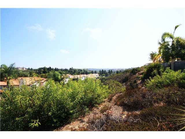 1373 Sparrow Road Carlsbad, CA 92011 - Photo 21 of 22 Canyon Views