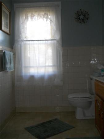 182 Phoenix Terrace Springfield, MA 01104 - Photo 18 of 20