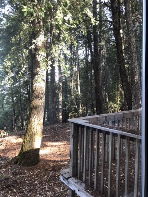 4020 Ridge Circle Willits, CA 95490 - Photo 37 of 44 a view of backyard with deck and trees