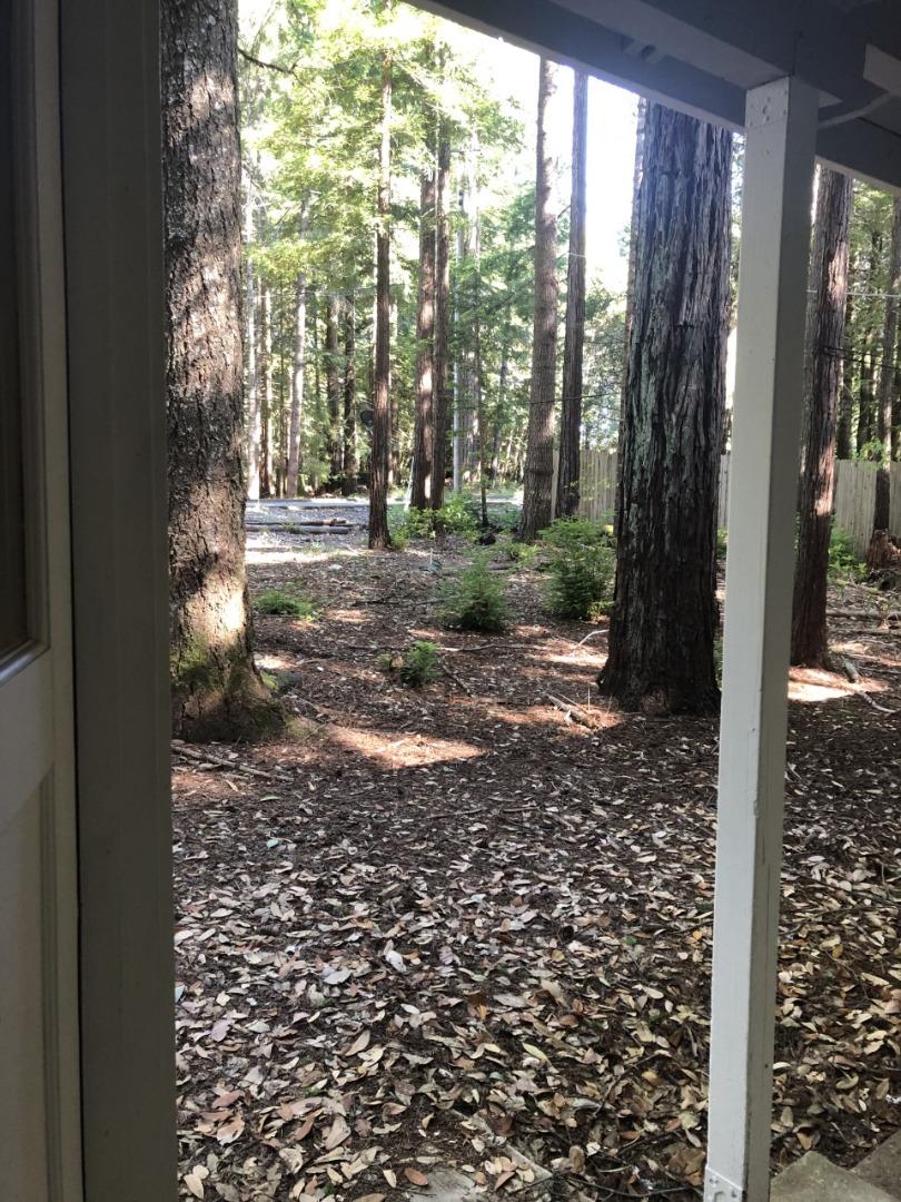 4020 Ridge Circle Willits, CA 95490 - Photo 38 of 44 a view of a yard with plants and trees