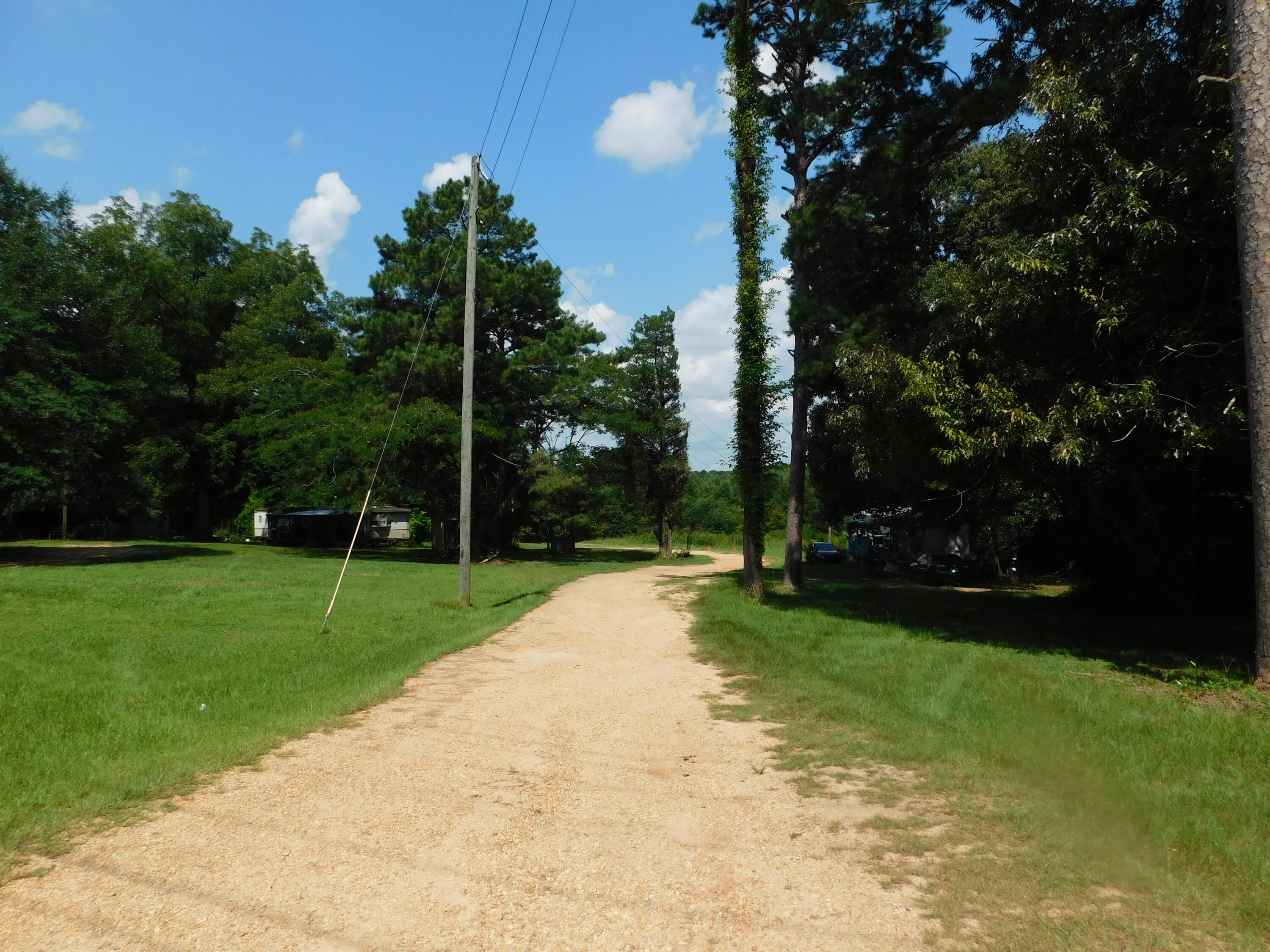 Xxx Ramsey McQueen Road Collins, MS 39428 - Photo 1 of 7 Gallery Image 1