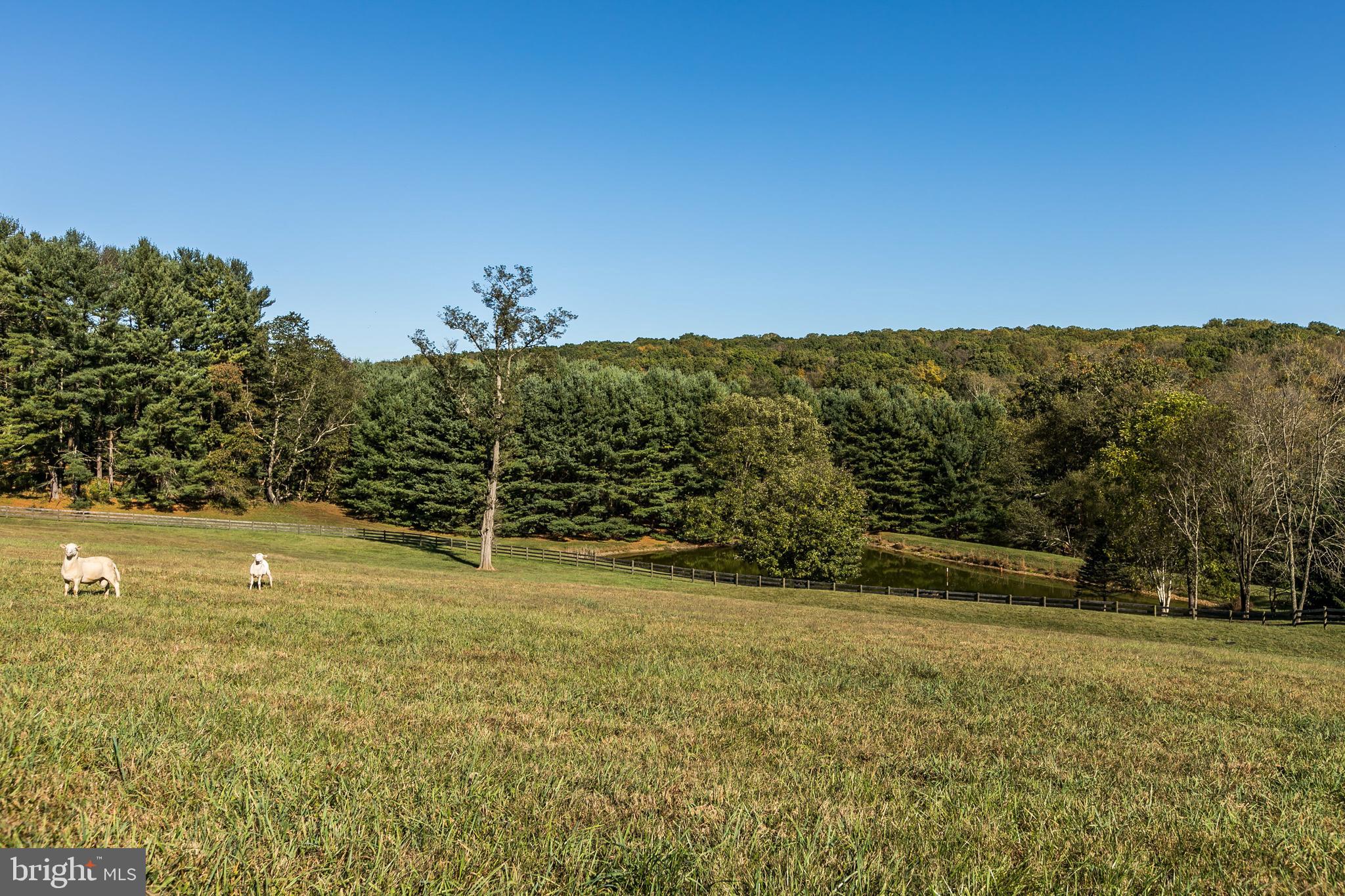 3135 Cotter Road Manchester, MD 21102 - Photo 49 of 61