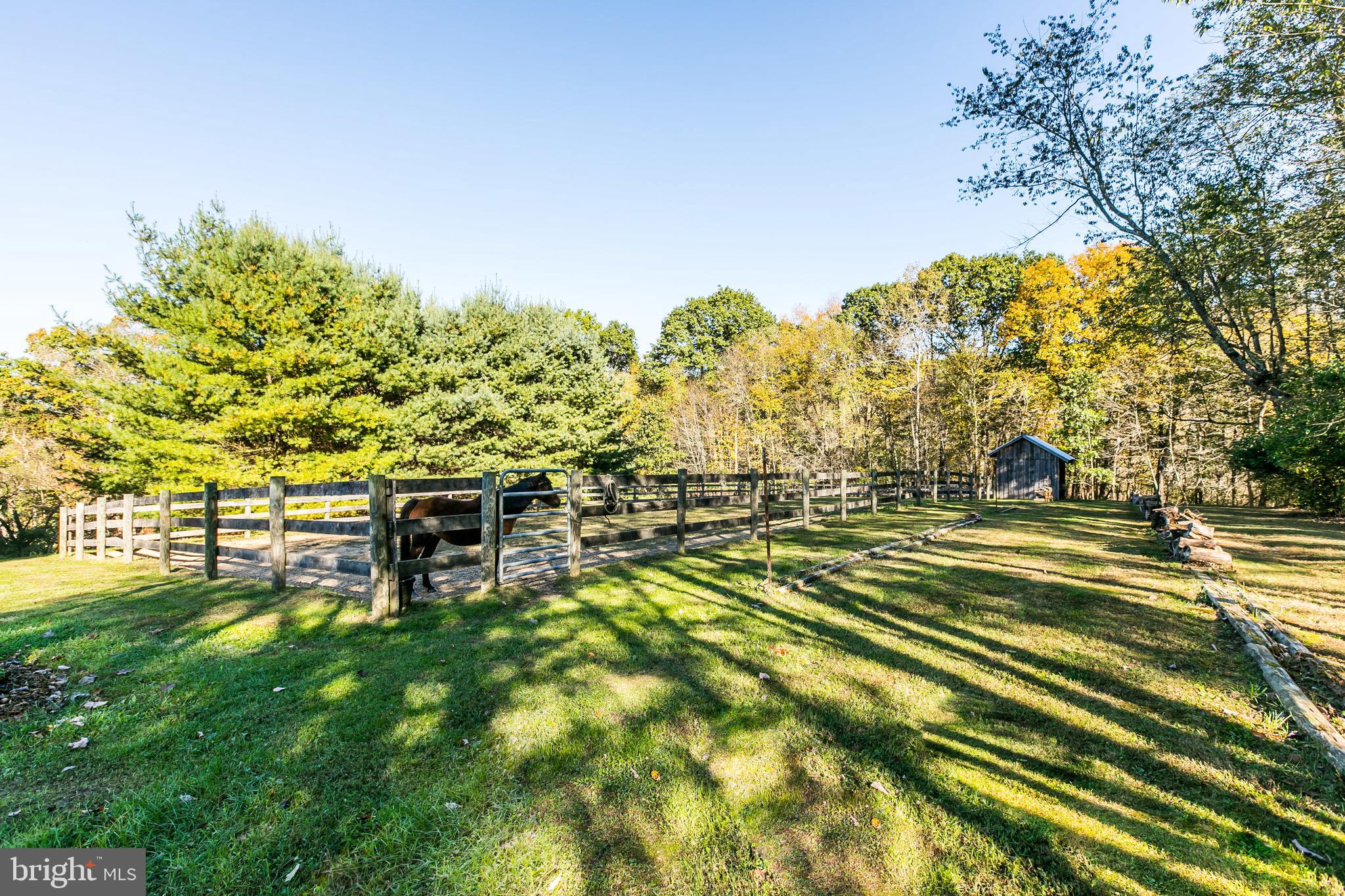 3135 Cotter Road Manchester, MD 21102 - Photo 50 of 61