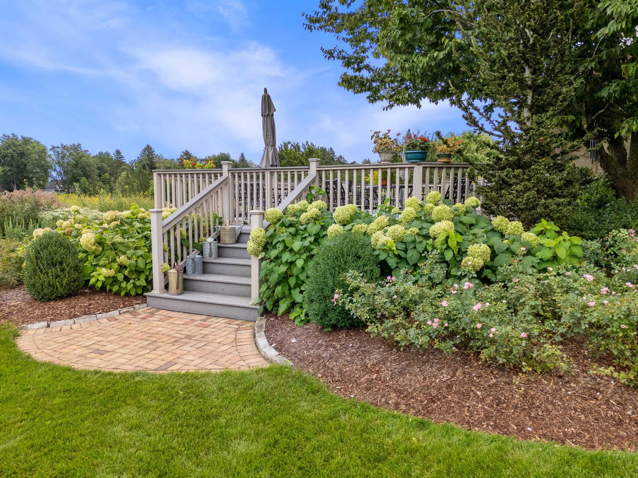 3200 West Bonniwell Road Mequon, WI 53097 - Photo 42 of 77 Deck surrounded with mature hydrangeas.