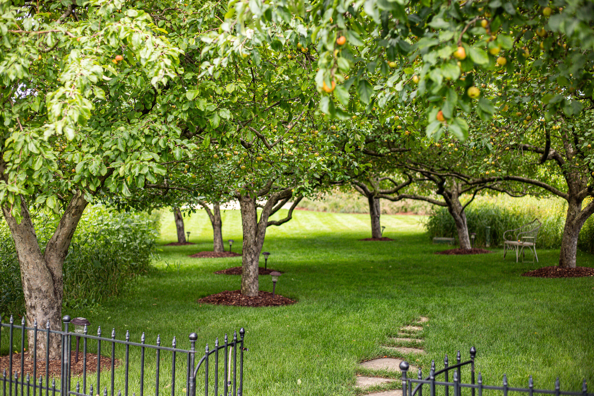 3200 West Bonniwell Road Mequon, WI 53097 - Photo 48 of 77 Crabapple allee leads to barn and gardens!