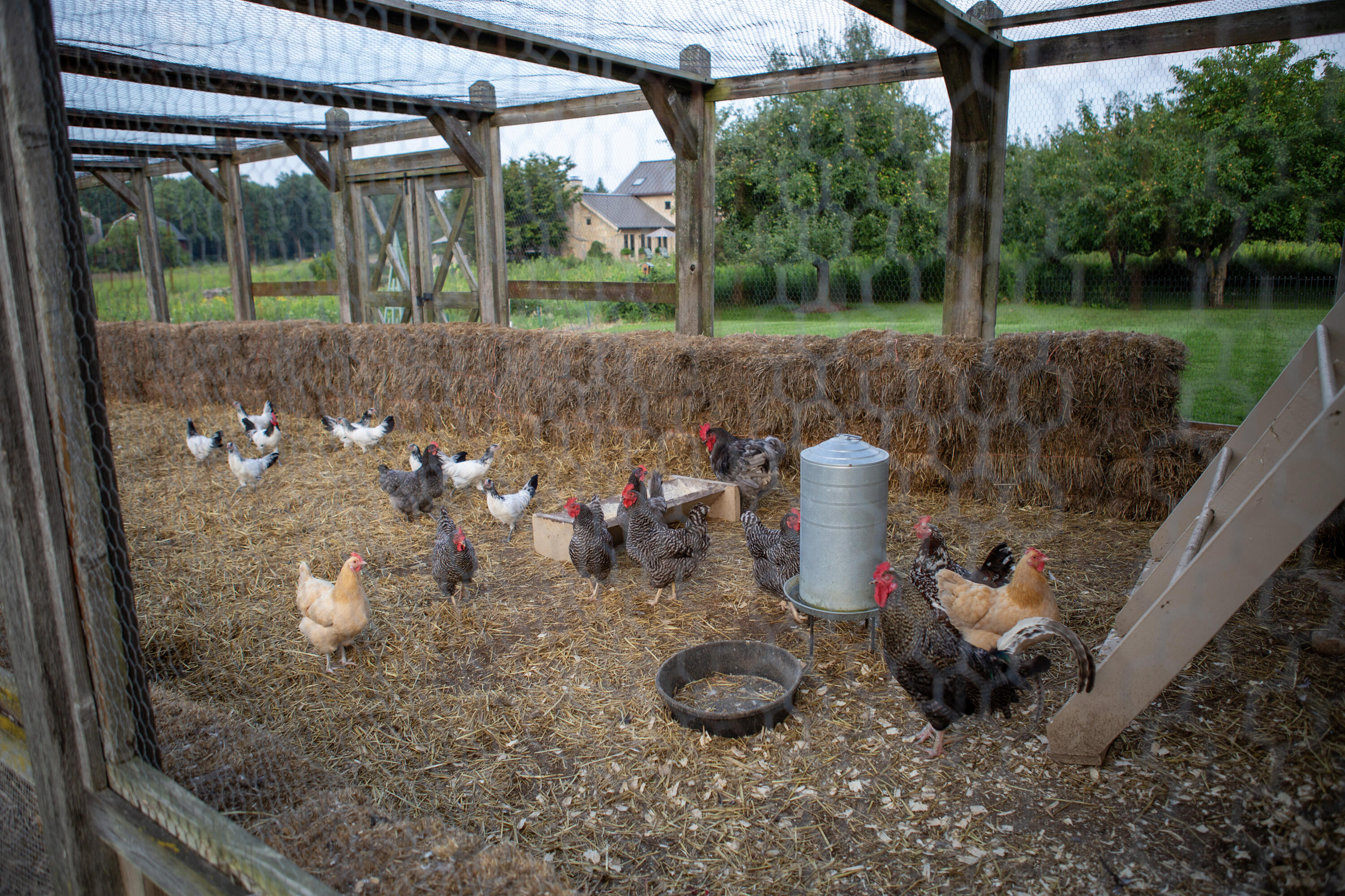 3200 West Bonniwell Road Mequon, WI 53097 - Photo 52 of 77 Feathered friends, enjoying the good life!