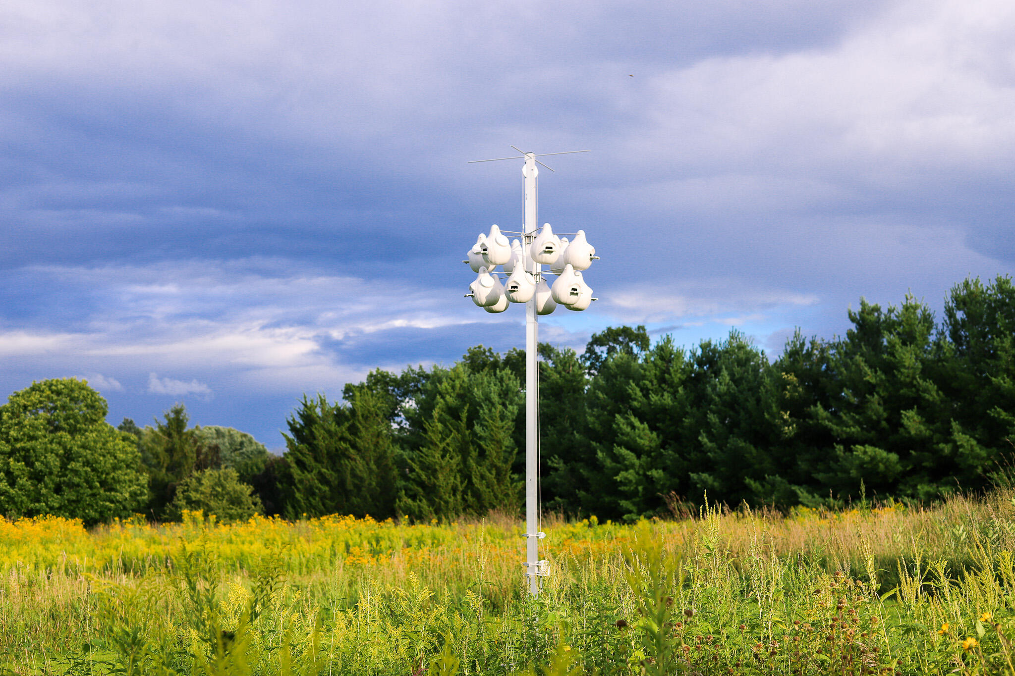 3200 West Bonniwell Road Mequon, WI 53097 - Photo 58 of 77 Martin colony habitat