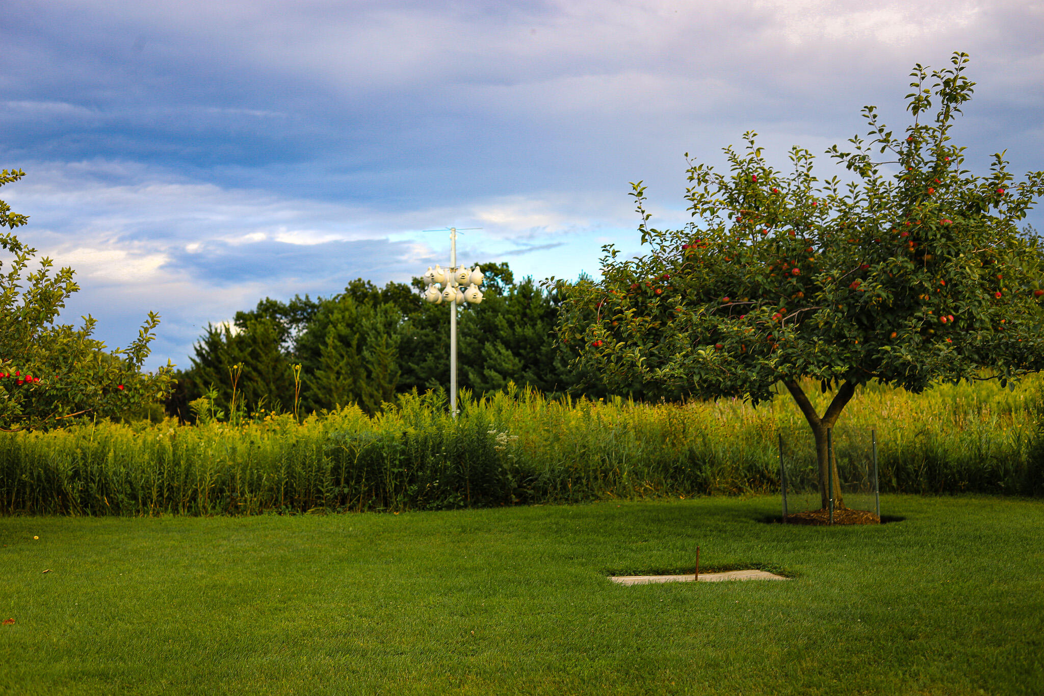 3200 West Bonniwell Road Mequon, WI 53097 - Photo 59 of 77 Safe haven for native songbirds