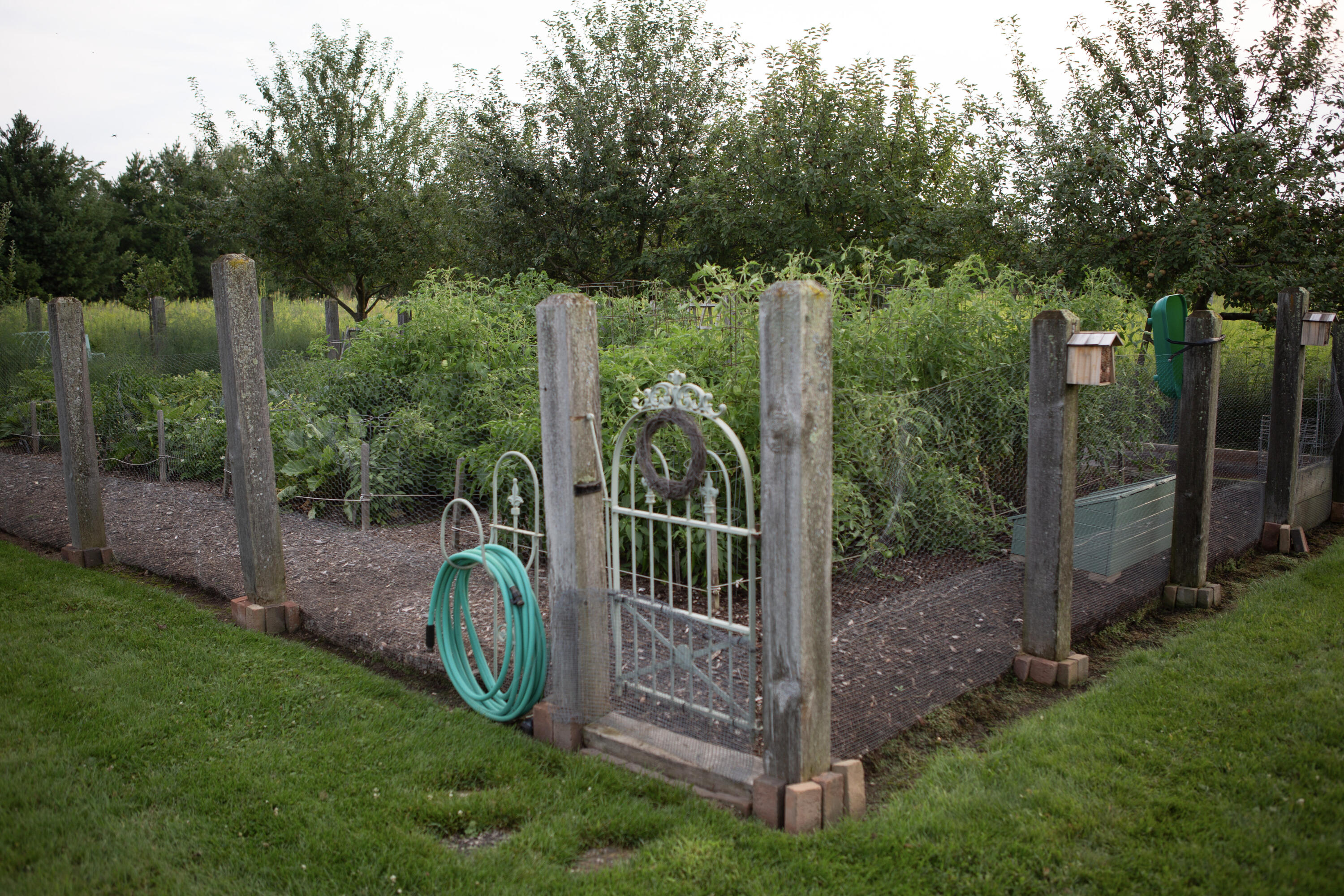 3200 West Bonniwell Road Mequon, WI 53097 - Photo 62 of 77 Berry and fruit garden