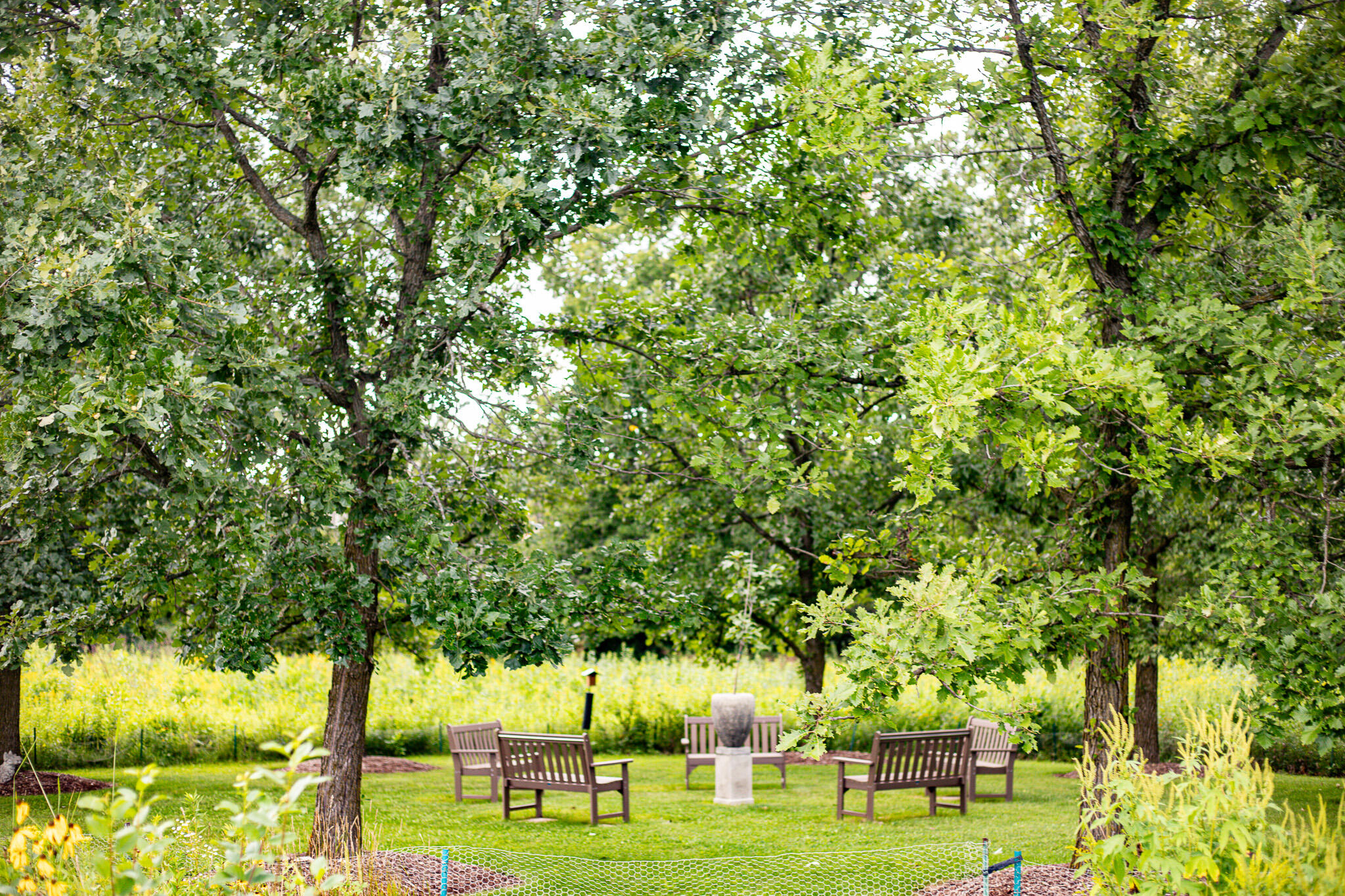 3200 West Bonniwell Road Mequon, WI 53097 - Photo 66 of 77 Oak grove, ten stately oaks providing shelter and peace.